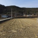 영천 선원동 철조여래좌상 이미지