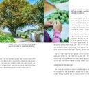 우명동 전통떡마을영농조합 이미지