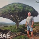 " 7O8AD & 7O8AE " Yemen QSL-CARD 이미지