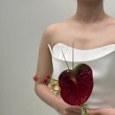 방배로25길 50 | 야외웨딩 드레스 이아라보 본식드레스 피팅후기