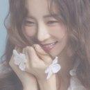 다감 이미지