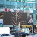 근육맨닷컴