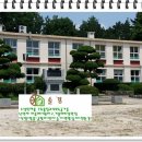 흥왕초등학교 이미지