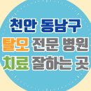 천안 동남구 탈모 전문 병원 두피 탈모관리 잘하는 곳 추천 List