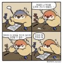 (주)엘리엇 | 정리할 겸 적어보는 일상 글 / 양재 브라이언스커피 팟츠포터리 엘리엇그릴 을지다락 이밥 리프커피바