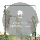 숲 생태지도사 심화(초등 교과 융합 프로젝트) | 목포 석현동 유아미술] 그린아트스콜레의 프리미엄 미술교육