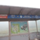 잔다리목장 이미지