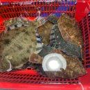 송도수산 이미지