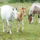 우리컴퓨터 이미지