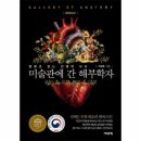 미술관에 간 해부학자 쇼핑하우