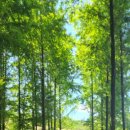 자연안에어린이집 이미지