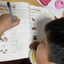 Groom Broom 이미지