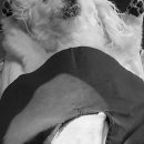 전주바로병원 이미지