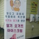 양평두물머리 필수라는 연핫도그! 블루베리쉐이크로 입가심~