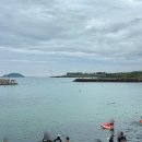 중화동 포구 공중화장실 | 제주 스노쿨링 명소 판포포구 돌돔이 보이는 물고기 스팟