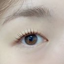 깡라인 뷰티(KkangLine Beauty)