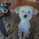 고봉민김밥인구덕운동장점 | 2026-03이라 쓰고 아랑이라 읽기