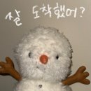 도깨비게임장 | 아보츠에있다가토론토에있다가퀘백에있다가토론토에있다가아보츠로돌아온 얼레발레 11월