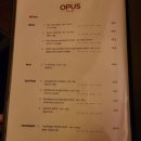 오퍼스(OPUS) 이미지