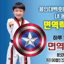 용인대백호태권도 이미지