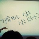 스킨포유인셀덤