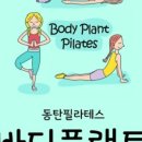 바디플랜트필라테스
