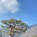 스테이 계절 이미지