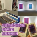 겹 | 잠실 무료 전시 추천｜롯데월드 애비뉴엘 아트홀 ‘장승택 겹’ 관람 후기