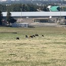 재은목장 이미지