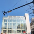 신사초등 | 푸마키즈팝업 초등남아운동화 겟! 신사 캐리마켓 스피드캣 GO 발렛 에이치스트릿 H-street