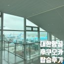 782 | 후쿠오카 대한항공 인천-후쿠오카 KE789, KE782 탑승 후기, 특별기내식 후쿠오카 항공 NOL 항공편