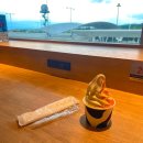 피앗농장 | #250629 홋카이도 여행 - 아사히카와 공항, 아시아나, 면세점 등