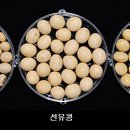 선유유통