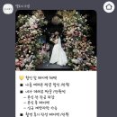 엘로디 | [강변 웨딩스퀘어 루시드홀] 어두운 홀 아이폰스냅 추천 | 엘로디스냅 계약후기