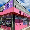 토토애견 이미지