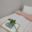 엘라포레스트더강남