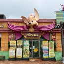 수 | 제주 카피바라 볼 수 있는곳 모모쥬 실내동물원 방문후기