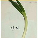 고향 마을 동 주민 청송 온천장으로 해서 안동 소고기 점심 식사ㆍ 식사(2025.02.04.) 이미지