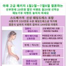 강남웨딩컨설팅 이미지