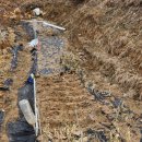 상한농장 이미지