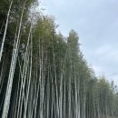 담양군금성면외추보건진료소 이미지