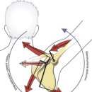 원주프라임병원 이미지