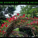 중랑 장미공원 축제 걷기(박헌 대장님 리딩)==5월 24일(금요일) ==풍경 사진 이미지