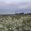 경기둘레길 화성47코스 | 경기둘레길 화성47코스(화성 이화리 정류장-궁평항)