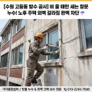매산동 행정복지센터(임시청사) 회의실 | 수원 외벽 방수 공사: 고등동 3층 주택 창틀 빗물 누수, 노후 주택 외벽 크랙 완벽 방수 작업