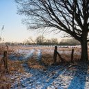 피넛호텔 이미지