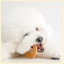 하나로덴탈 이미지