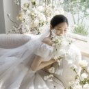 03. 스드메 상담- 스튜디오 추천, 인기 스튜디오 비교 후기(에밀리/메리드하우스/식스플로어/버드투블룸)