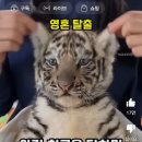 아짱아짱 Daum카페