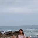 풍금 이미지